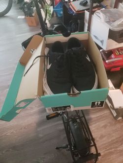 Sz11 Nike SB CHARGE SOLARSOFT canvas