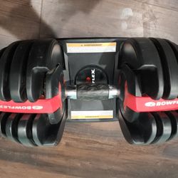 1 Bowflex Adjustable Dumbell With Stand