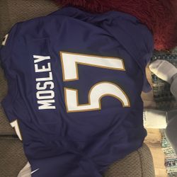 Raven Jersey 