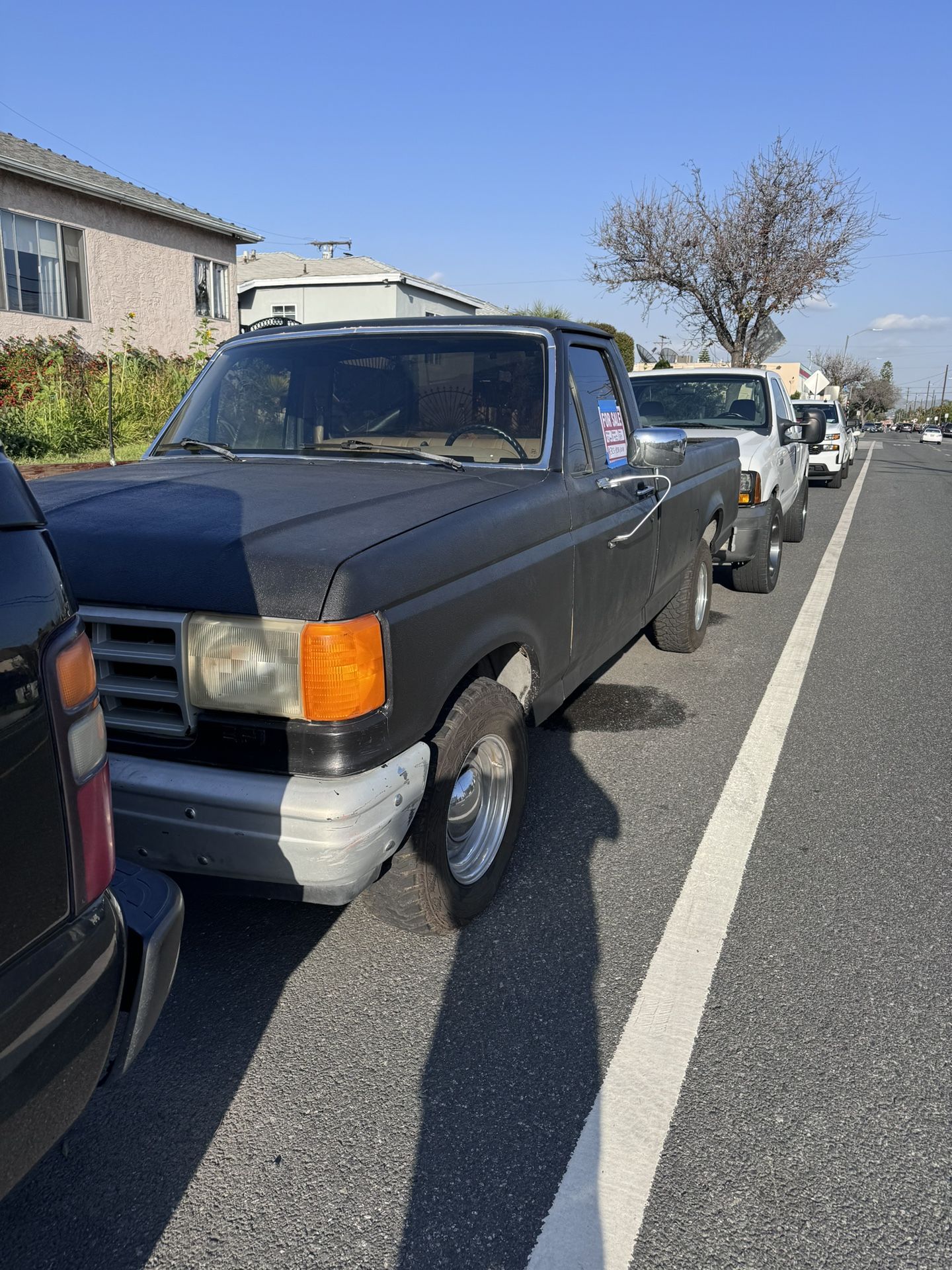 1989 Ford F-150