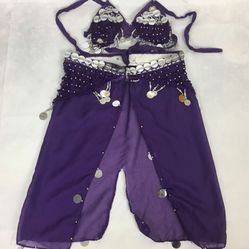 Belly Dancer Girls Toddler 2 pc Purple Costume SMALL