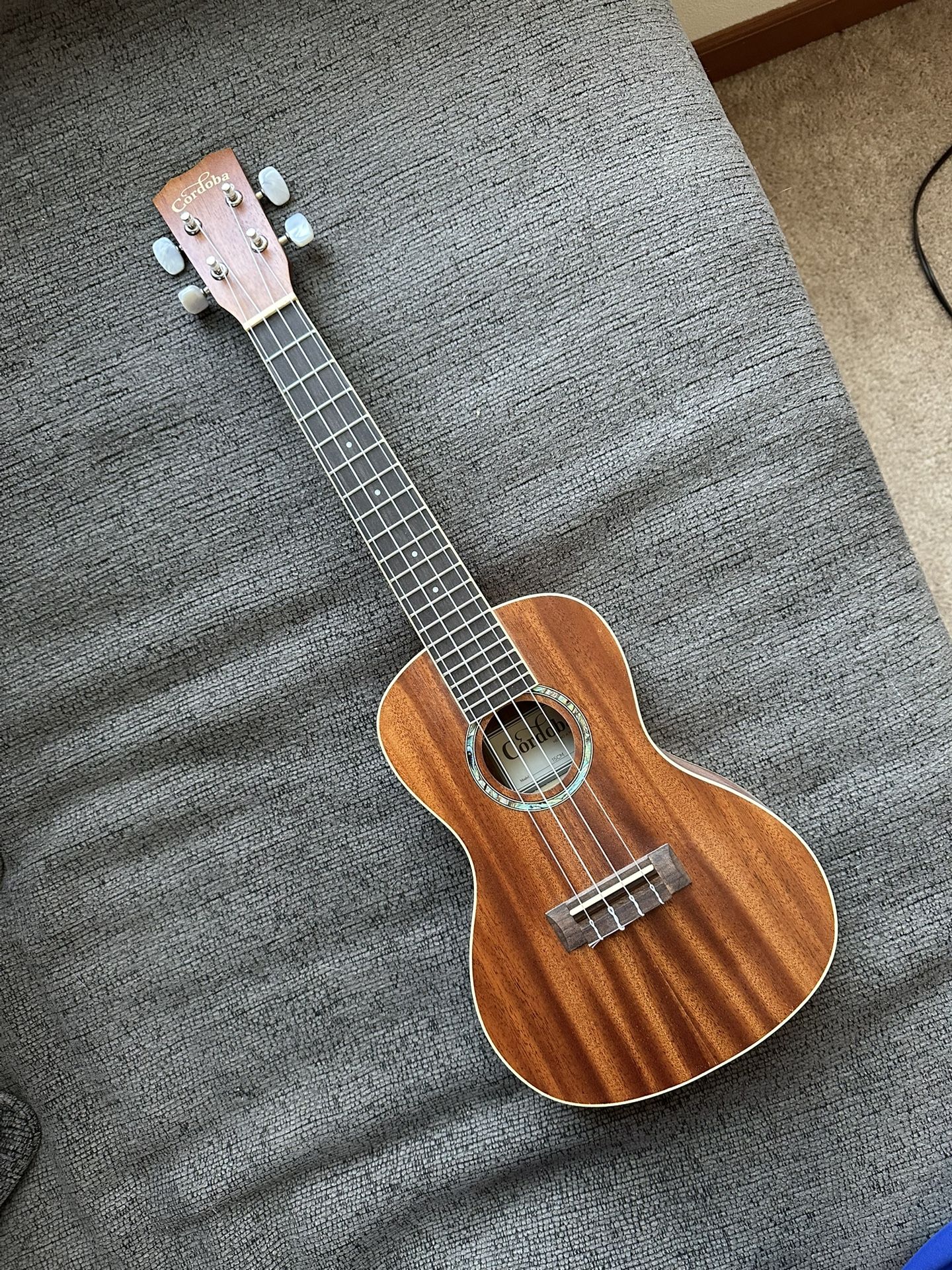 Ukulele/Cordoba **BRAND NEW**