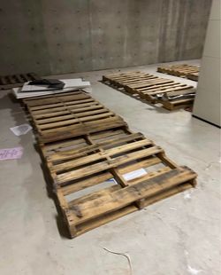 15 wood Pallets for free