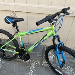 bike evryting work good tires size 24” 