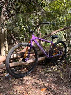 Throne bike 29er