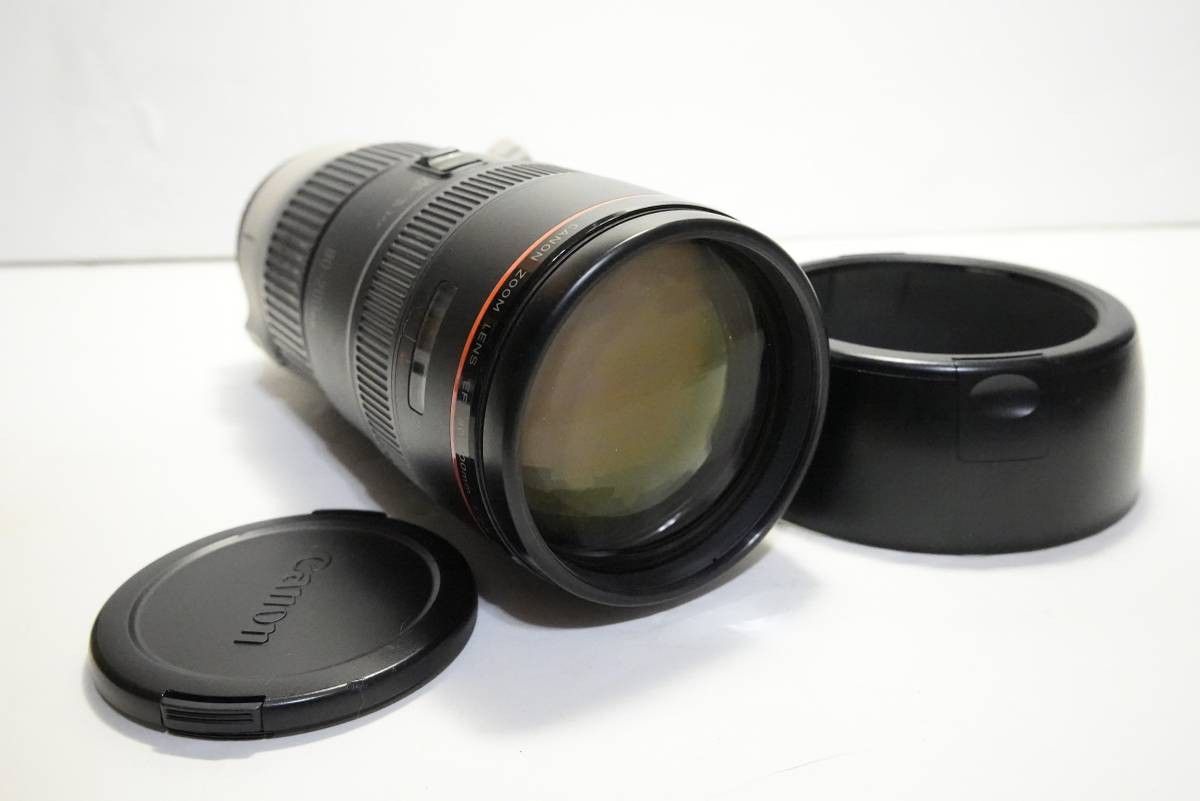 Canon L Series 80-200, 17-35 Lenses