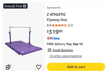 Z Athletics bar/beam and mat