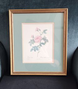 Vintage Framed Rose Art print 16"x13"