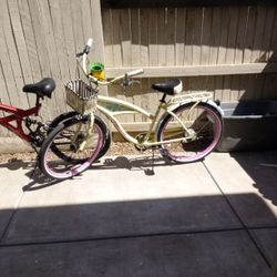 Beach Cruiser 26 '