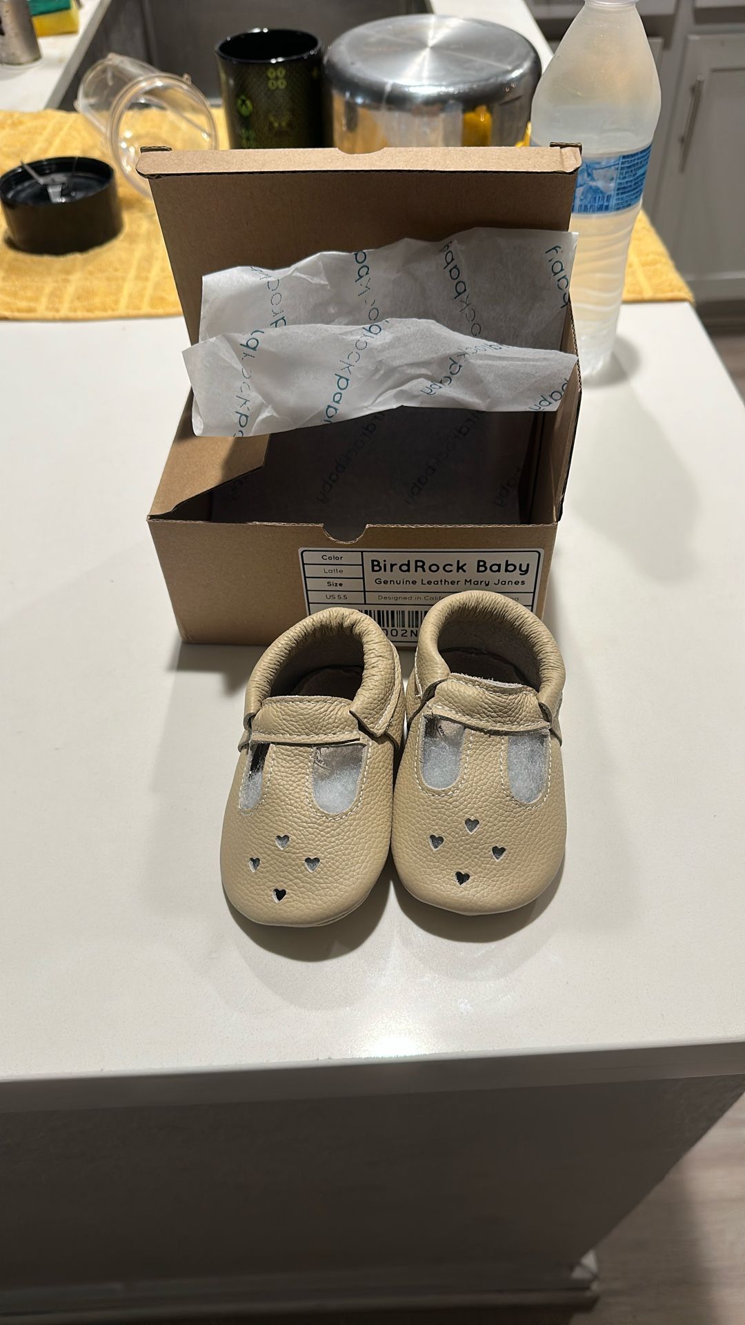 Bird Rock Baby Shoe