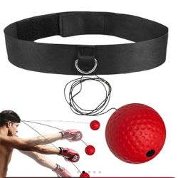 2 Back Boxing Training Set
