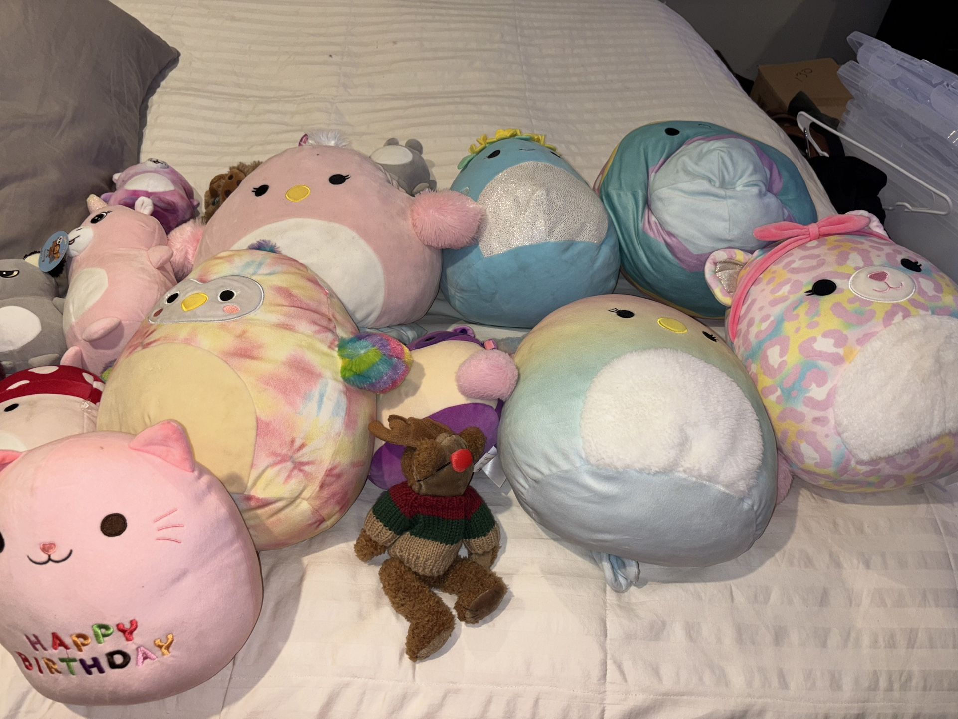 Squishmallows Stuffed Animal Lot All For $20