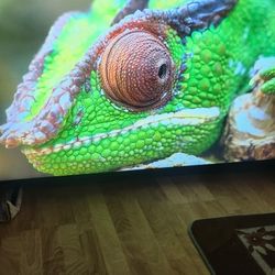 Vizio 65-inch Smart Cast 4k 