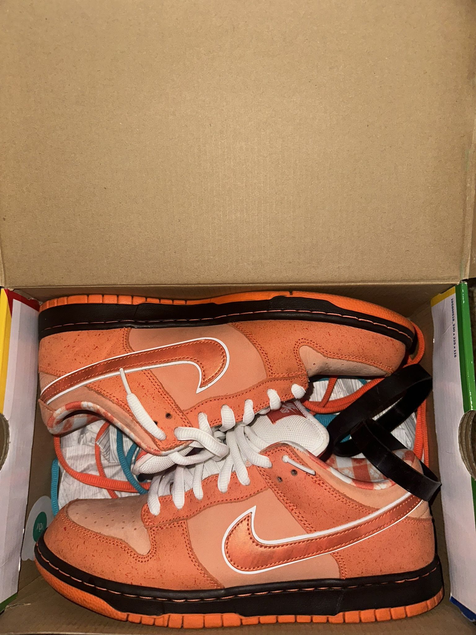 Orange Lobster Size 10.5