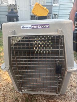 Large Dog Kennel