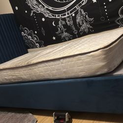 Twin Xl Bed Frame With Sealy Bunki Board 