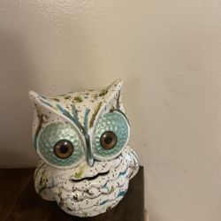 owl