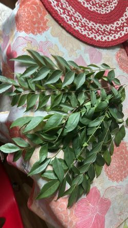 Curry leaves