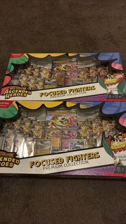 Ascended heroes (focused fighters)
