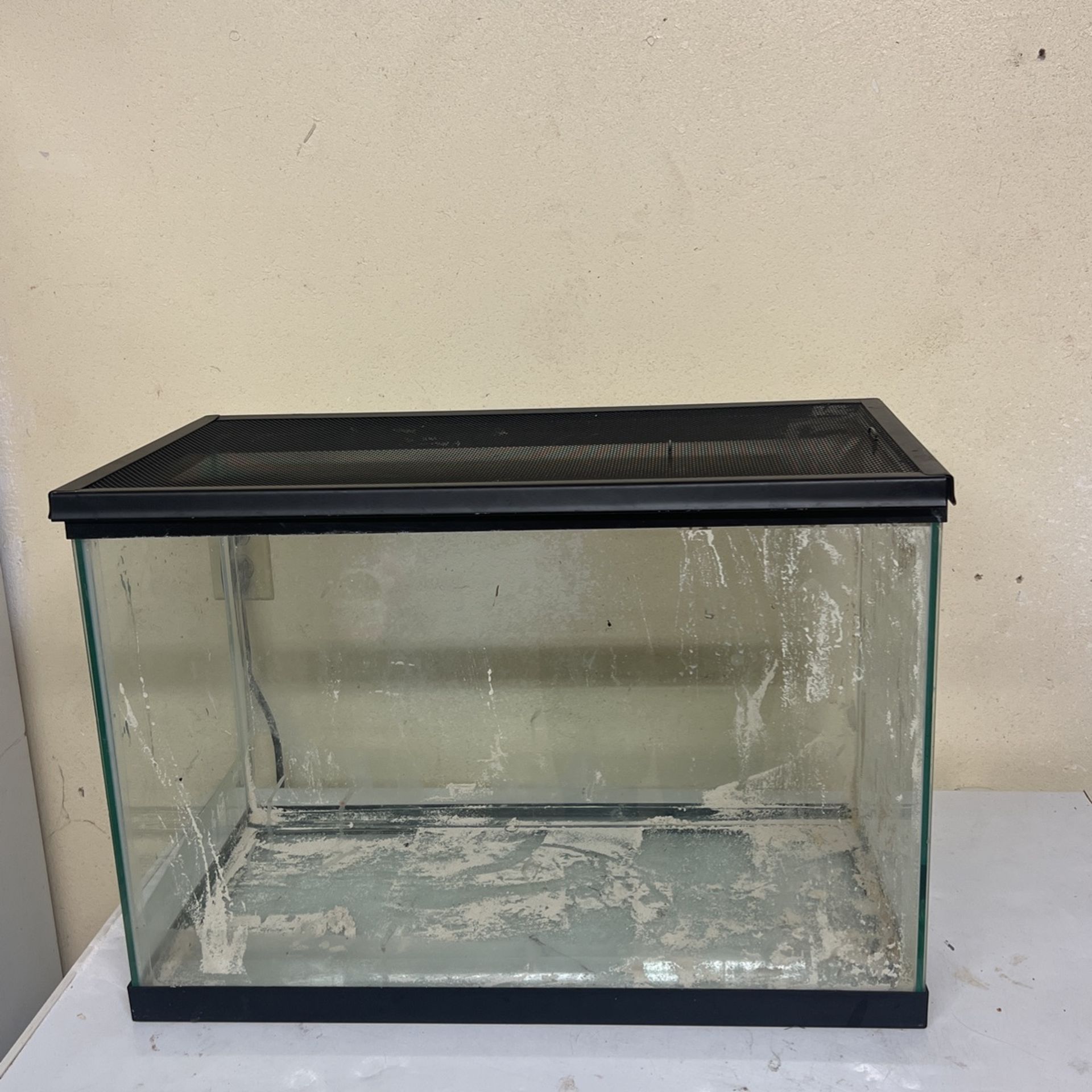 Reptile Enclosure