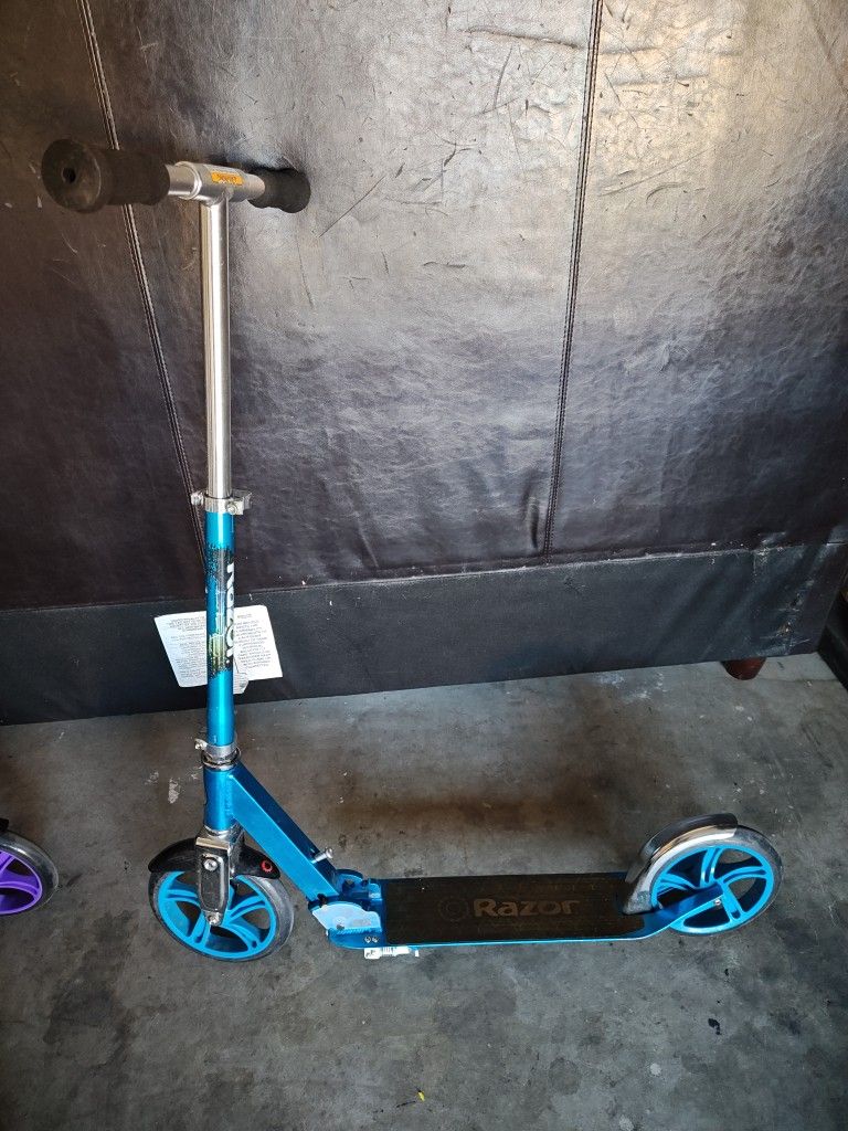 Adult Scooter