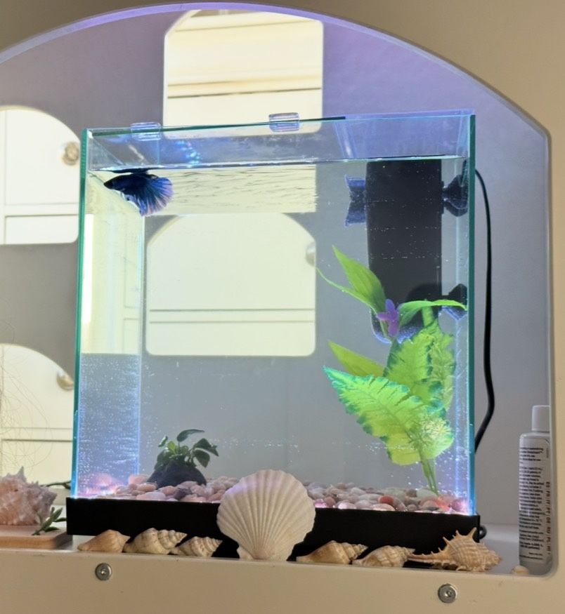 Aqueon Edgelit 6 Gallon Aquarium With Filter
