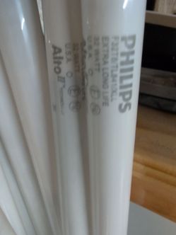 Fluorescent light bulbs