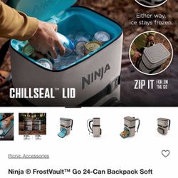 Ninja Frost vault 