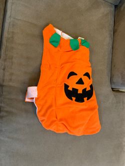 Large dog pumpkin costume