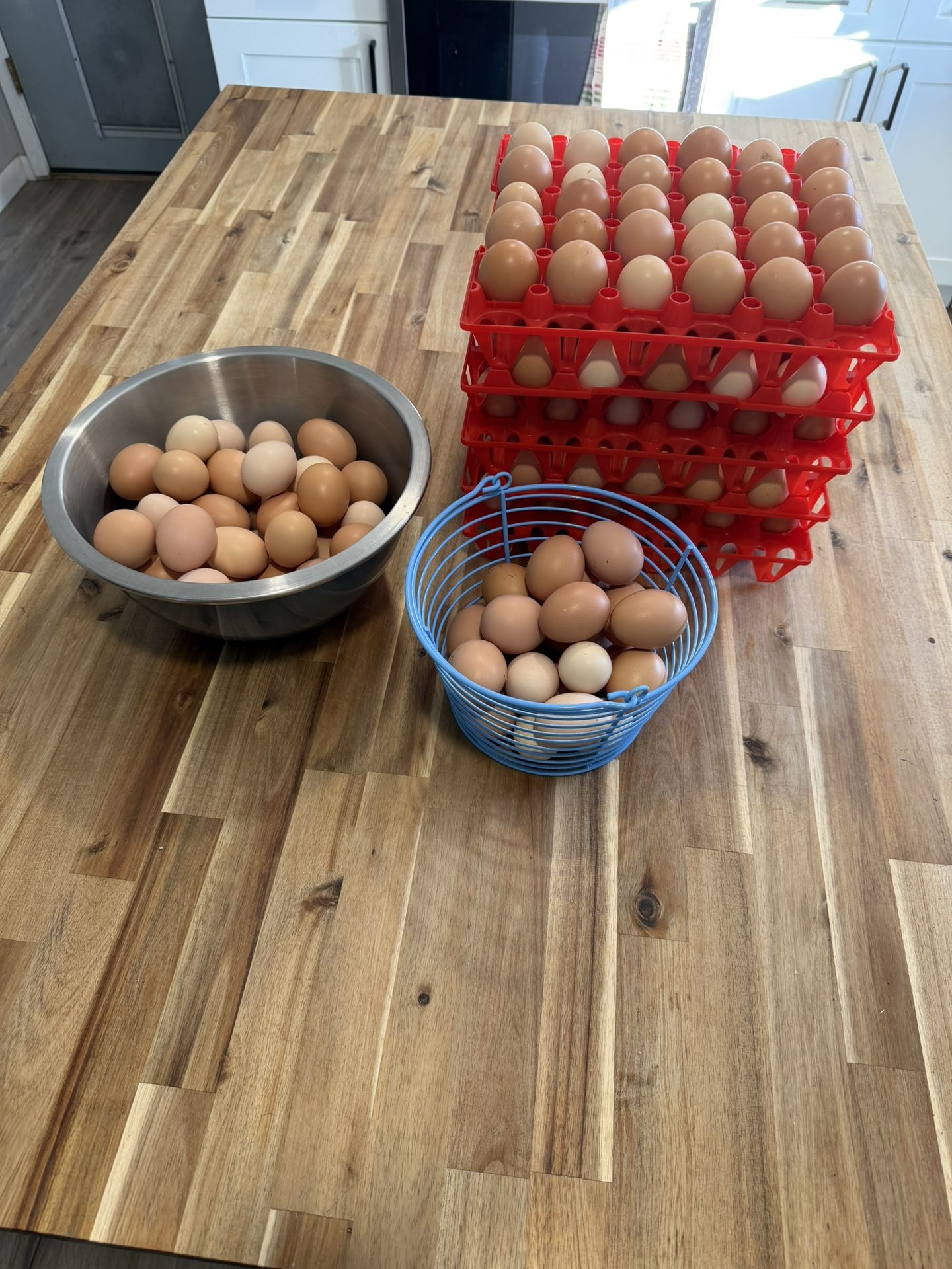 Farm Fresh EGGS! $6 a Dozen