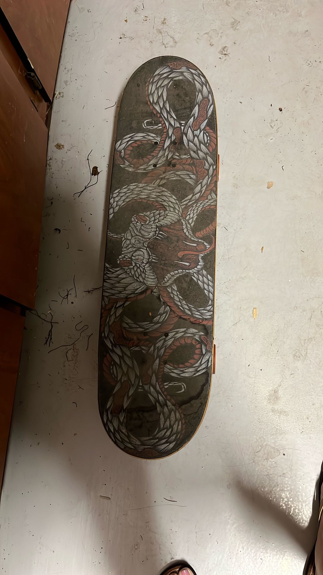 Santa Cruz Skateboard