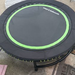Leaps & Rebounds Trampoline Retail $250 Sell $100 Cash Firm 