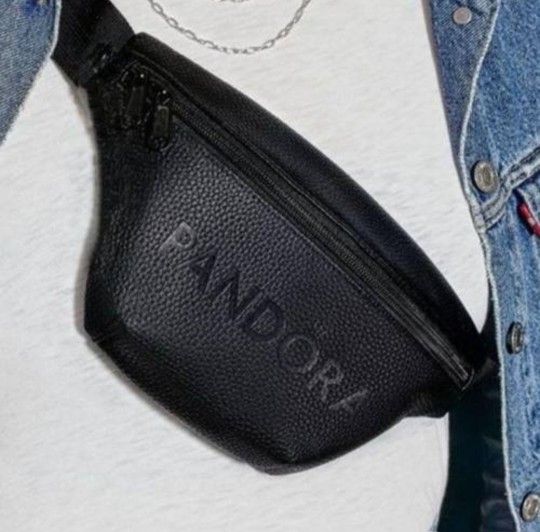 New Pandora Belt Bag