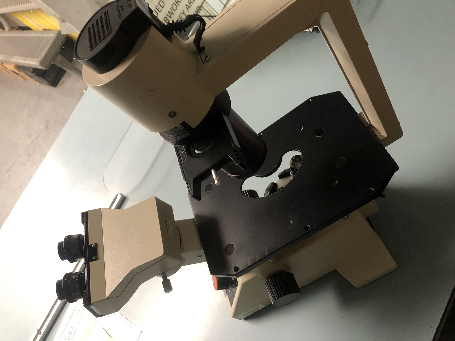 Olympus CK2 Microscope