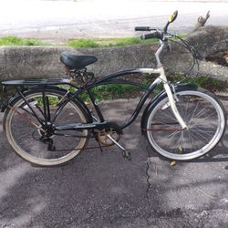 Schwinn Riverside Cruiser
