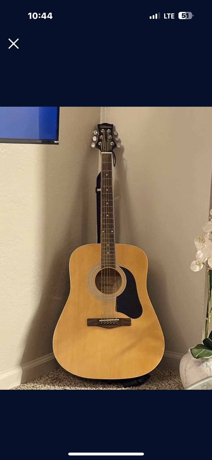 Silvertone Guitar