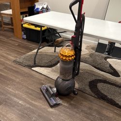 Dyson Cinetic Big Ball