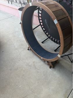 Cat exercise wheel