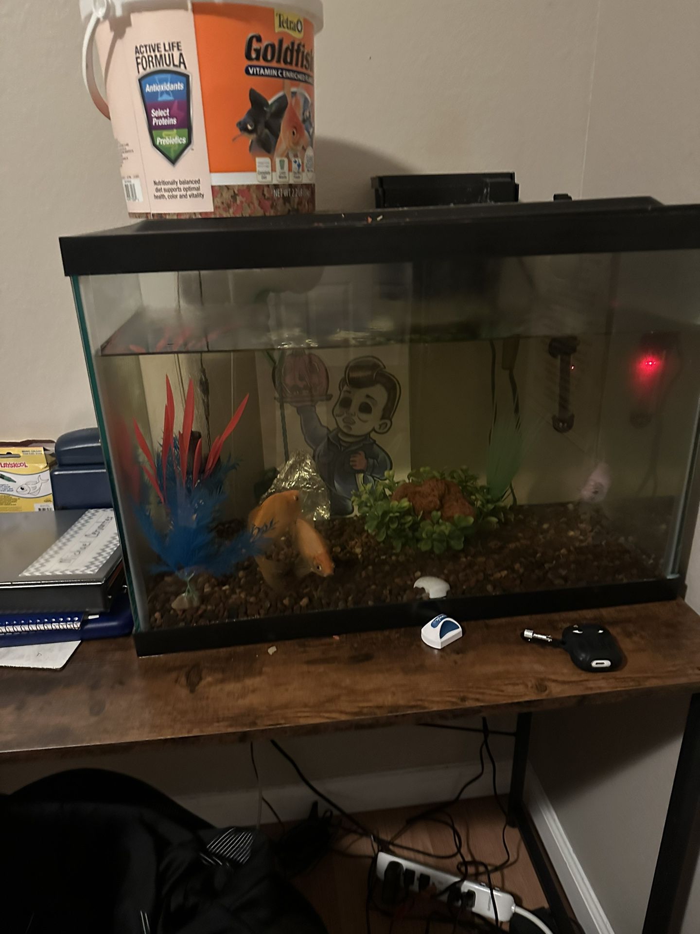 Fish Tank With Food, Water Heating Element, Filter And 3 Gold Fish