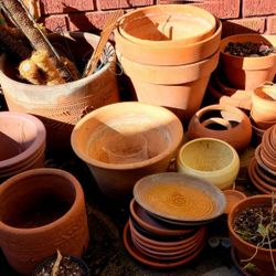 Plant Pots Various Shapes And Sizes And Colors. 
