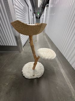 MAU CAT UNI TREE