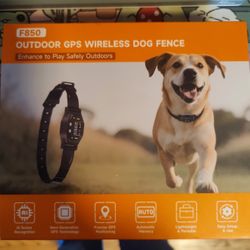 Wireless Dog Fence 