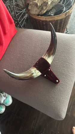 Bull horns