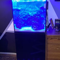 24 Gal Aio Saltwater Tank
