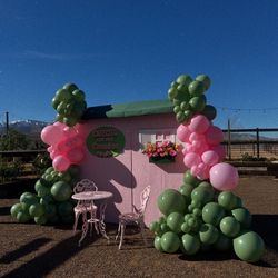Pink and Green backdrop