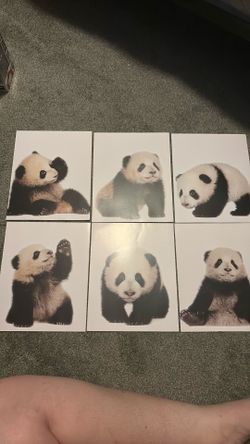 Panda Posters
