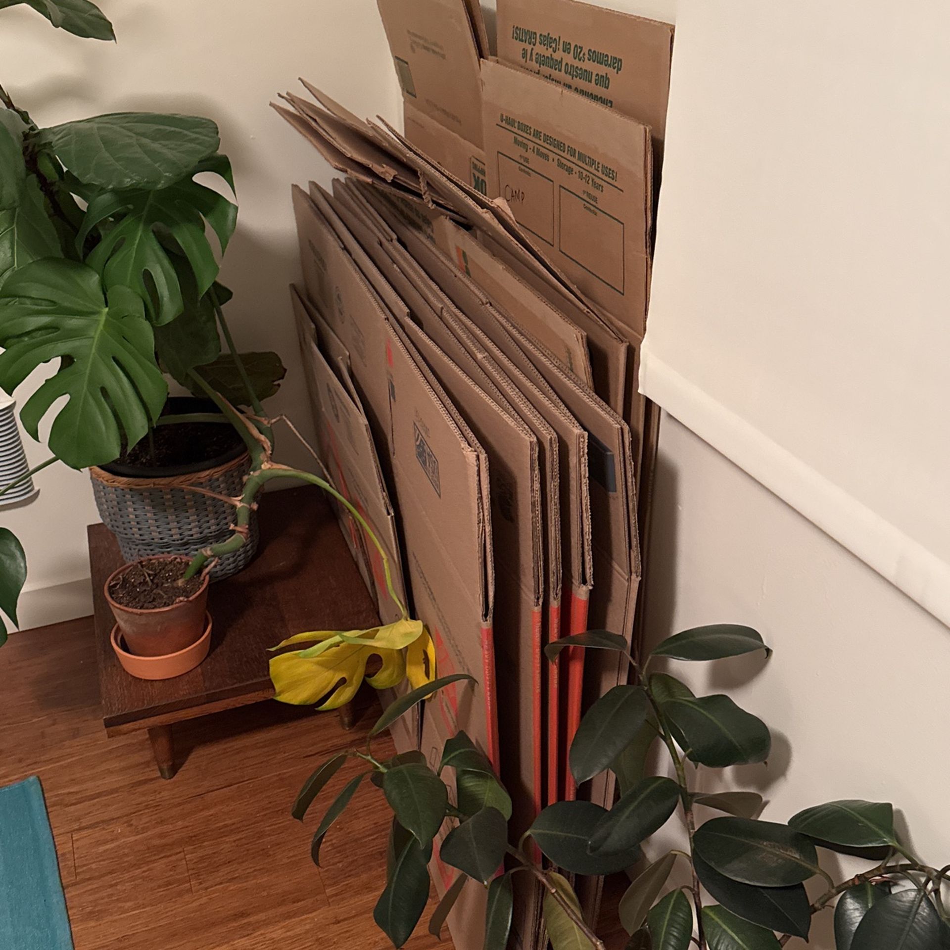 Free Moving Boxes And Blankets