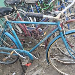 11 Schwinns 3Varsitys1collegiate31traveler1sprint1worldtourist1passage2suburbans