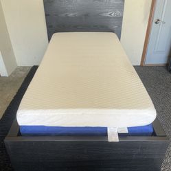 Twin Size Black IKEA Malm Bed Frame w/ 2-six inch Memory Foam Mattresses  *Delivery Available* 
