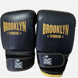 🔥 Boxing Gloves – Brooklyn Fitboxing 12oz – Used One Time Only ! 🔥 